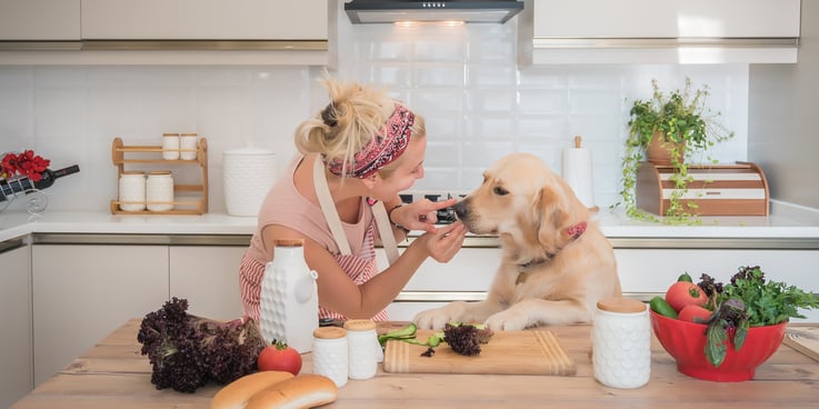 Woman cooking in the kitchen with her counter-surfing dog