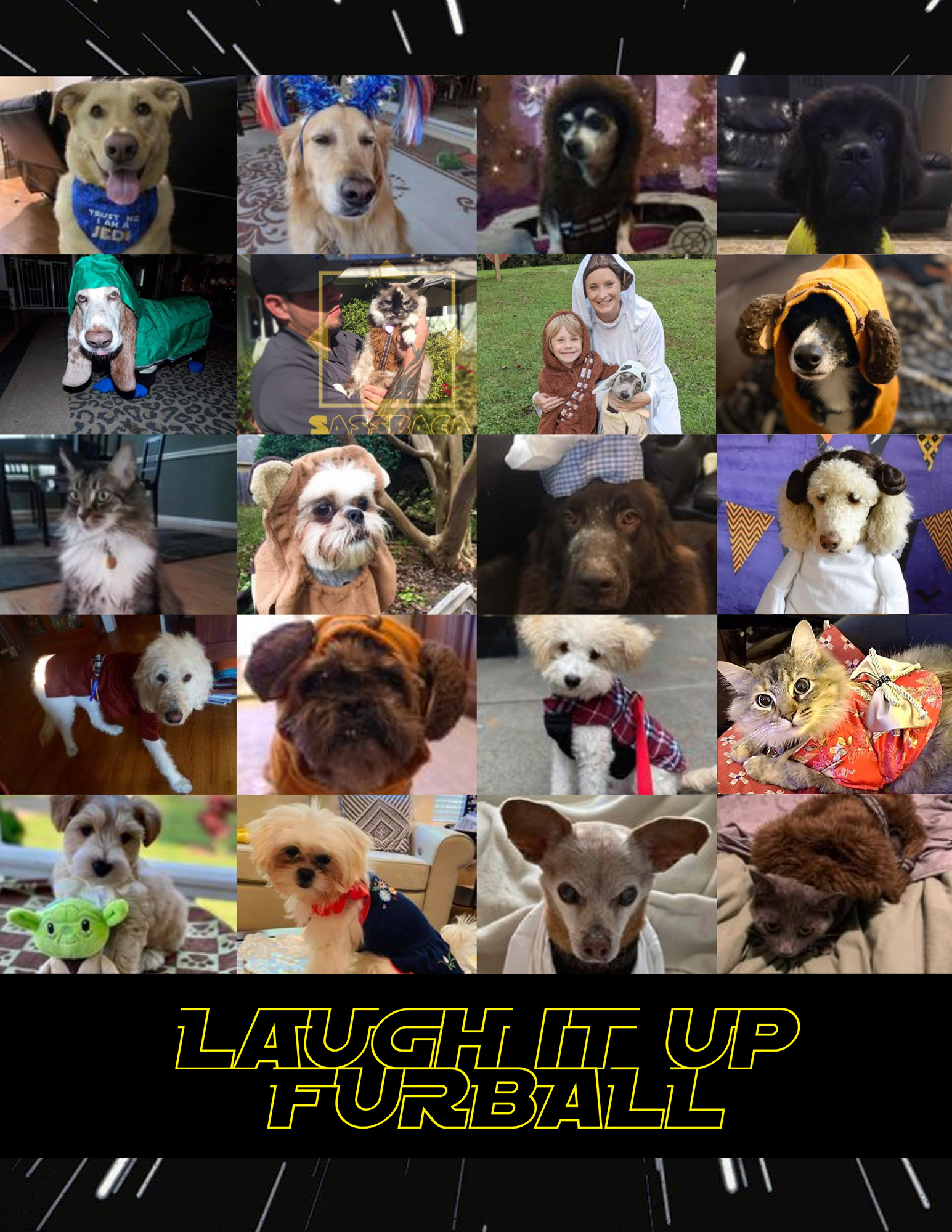 8797E REF_Summer Companion 2022_LaughItUpFurball Collage