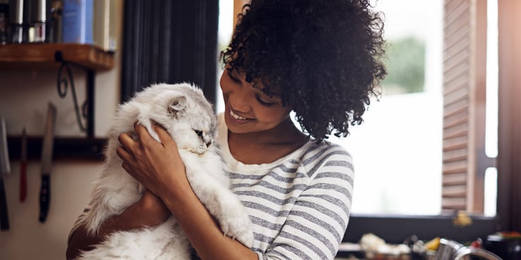 A woman holds a big fluffy cat lovingly
