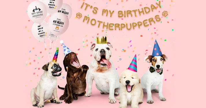 Badass Balloon Co. pet party supplies