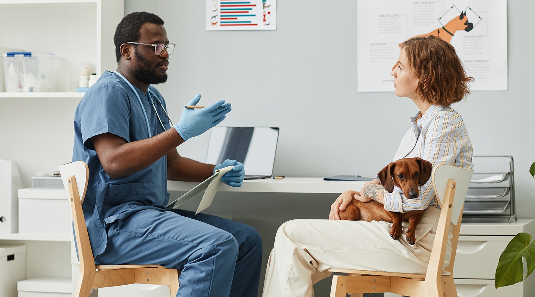 Male veterinarian goes through chart with female pet owner holding a dachshund in her lap