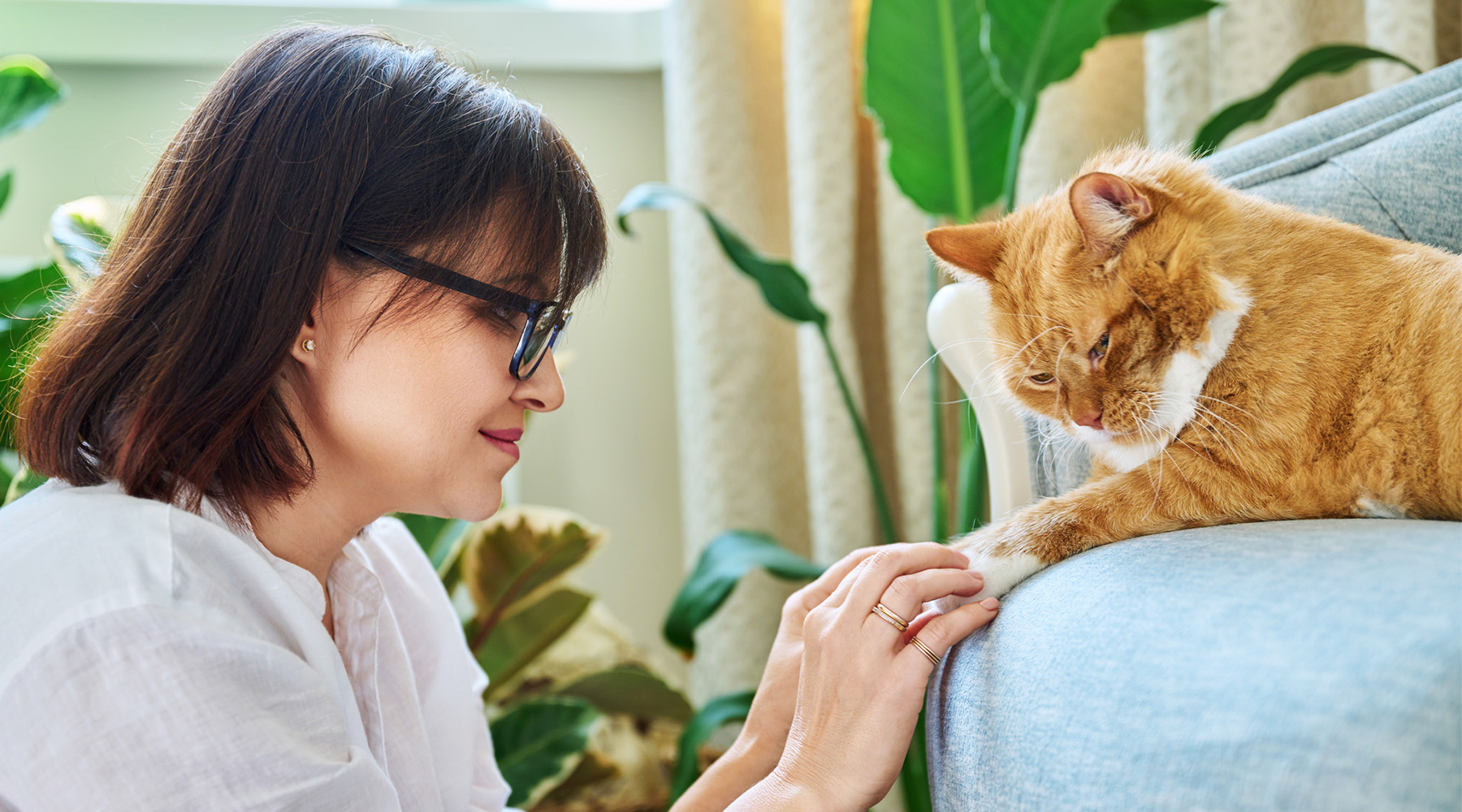 Female pet owner holds the paws of a large orange cat