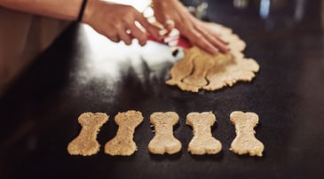 Nationwide member Tim A. hugging his Malinois, Ziya
