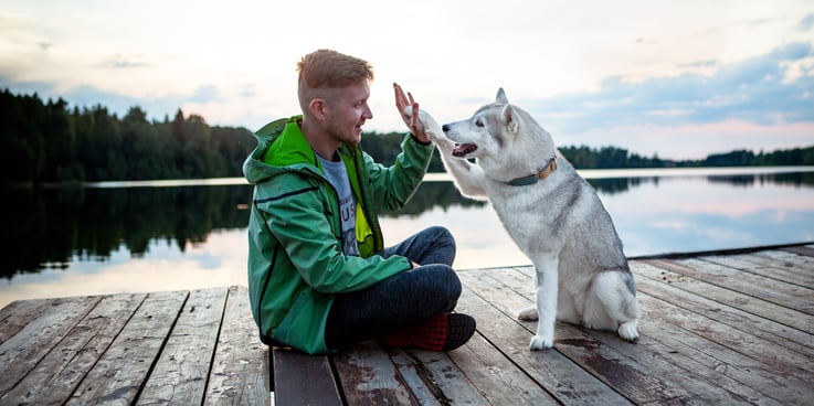 Man and Siberian husky dog high-fiving on a dock