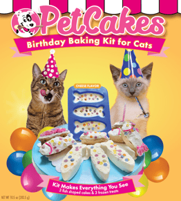 BdayCatKitFront