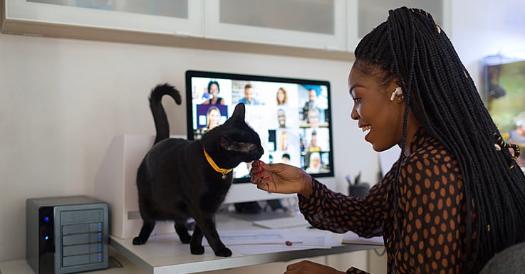 young black woman with box braids and black cat working from home