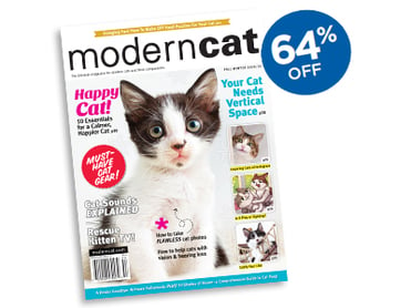 Modern Cat Magazine