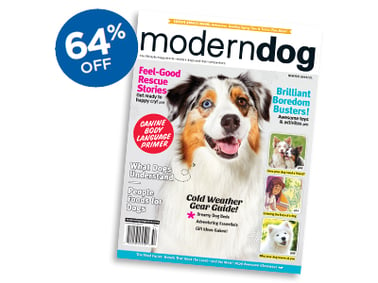 Modern Dog Magazine