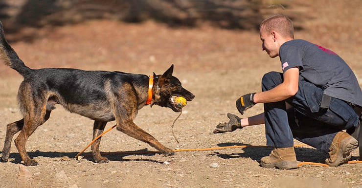 National Disaster Search Dog Foundation
