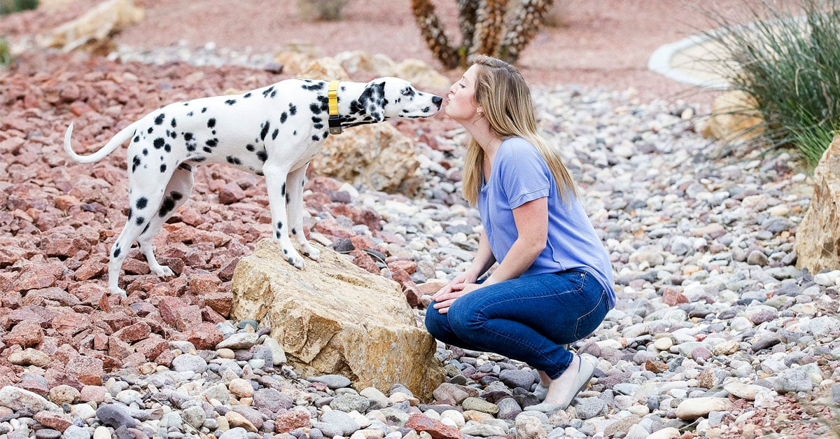 Shauna and Pongo, protected by Nationwide since 2020