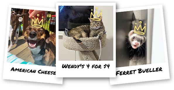 10416J CRS_2025 Wacky Pet Name_Winners