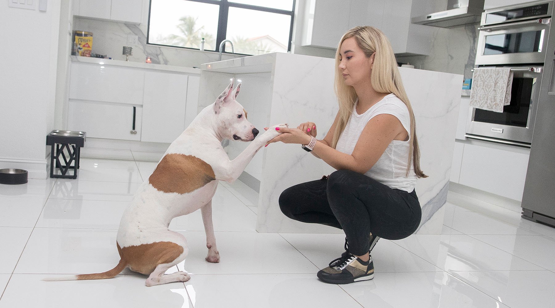 Stephanie teaches Rocket to shake paws