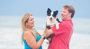 Australian shepherd at the beach with a toy