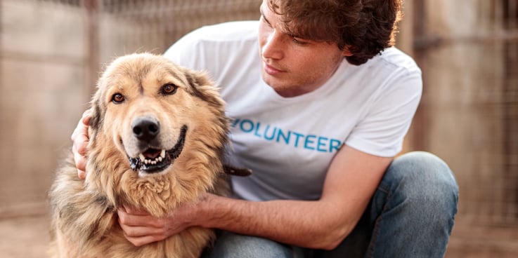 Pet volunteer hugging a large dog