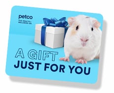 Blue Petco gift card with a picture of a white guinea pig. It reads a gift just for you.