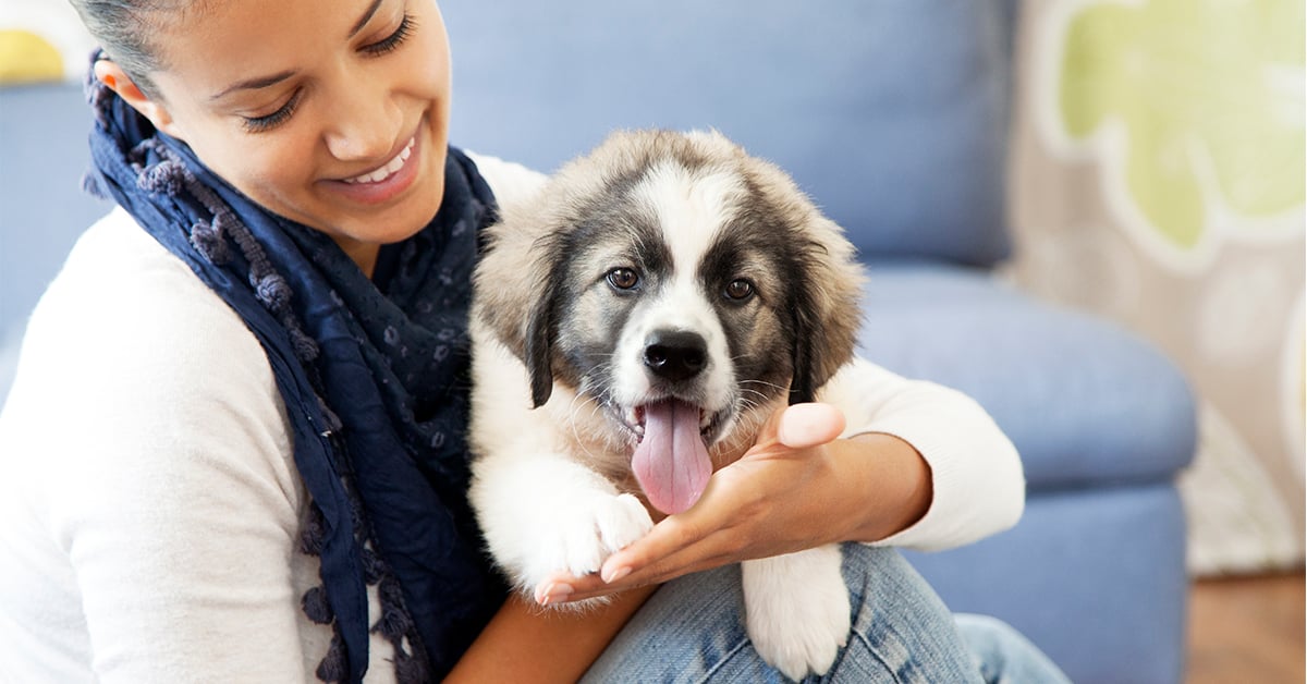 Woman holding a puppy