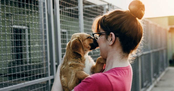 Woman with dog at animal shelter