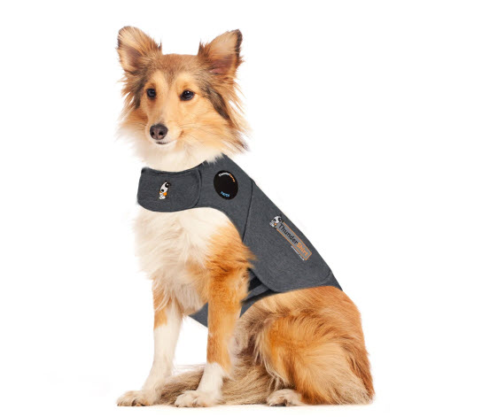 thundershirt