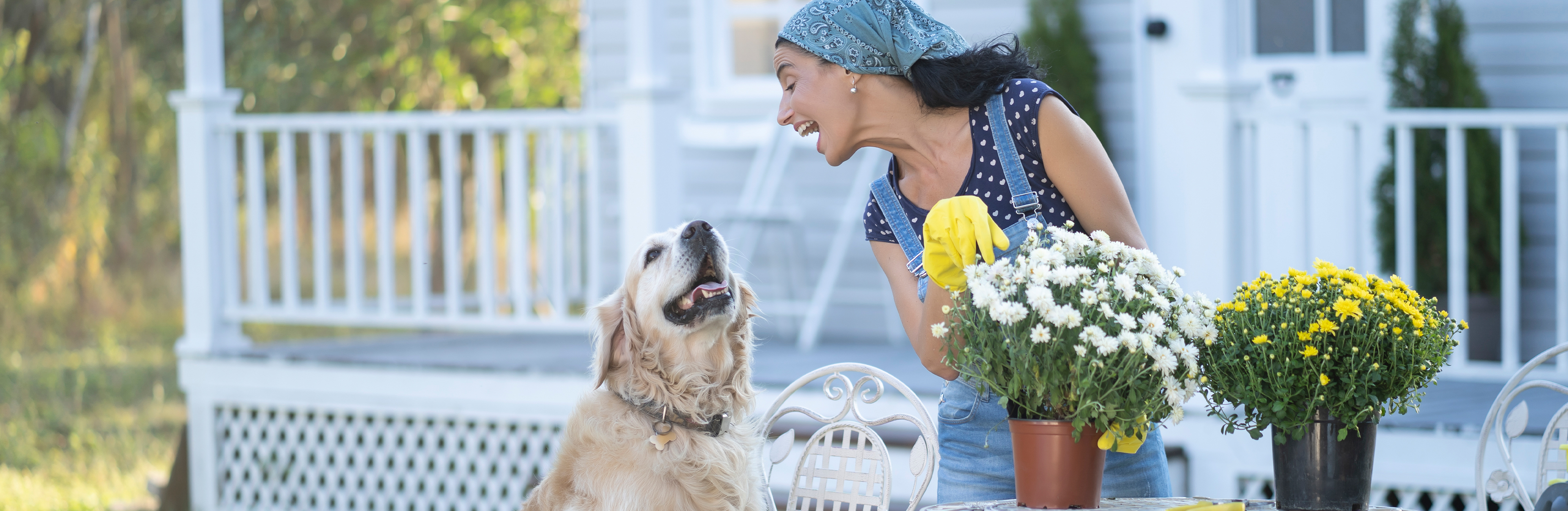 Planning pet-safe plantings